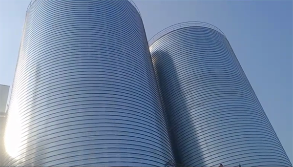 罗湖2座混凝土高架卷板仓